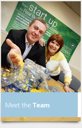 Meet the Team