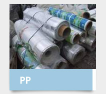 PP